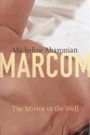 The Mirror in the Well